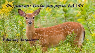 Λίλιαν Σίμου astrolife