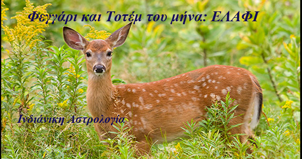 Λίλιαν Σίμου astrolife