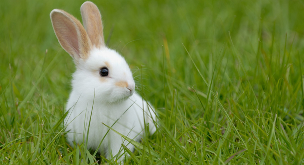 εβδομαδιαίες προβλέψεις Astrolife