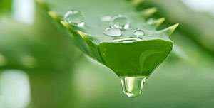 Λίλιαν Σίμου astrolife