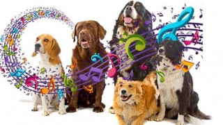 Λίλιαν Σίμου astrolife