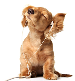 Λίλιαν Σίμου astrolife