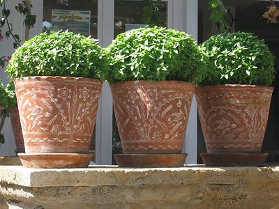 προβλέψεις Λίλιαν Σίμου astrolife