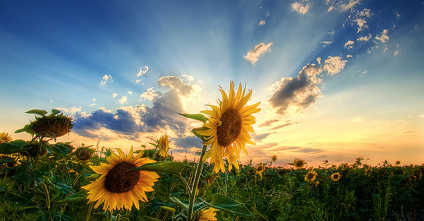 προβλέψεις Λίλιαν Σίμου astrolife