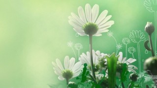 astrolife Λίλιαν Σίμου