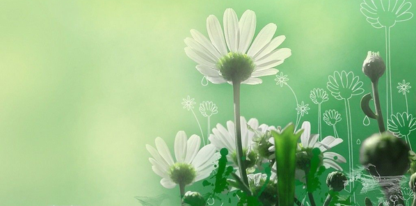 astrolife Λίλιαν Σίμου