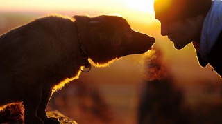 άνθρωπος και ζώα Λίλιαν Σίμου astrolife