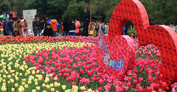 προβλέψεις Λίλιαν Σίμου astrolife