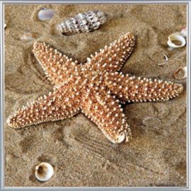 μηνιαίες προβλέψεις Λίλιαν Σίμου astrolife