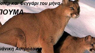 φεγγάρι και τοτέμ του μήνα Φεβρουαρίου Ιχθείς Astrolife