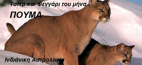 φεγγάρι και τοτέμ του μήνα Φεβρουαρίου Ιχθείς Astrolife