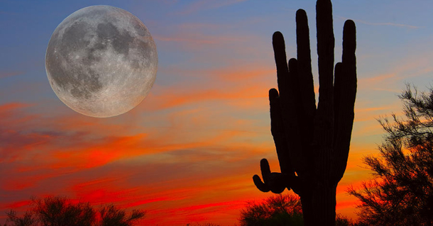 Λίλιαν Σίμου πρόβλεψη Πανσέληνος astrolife