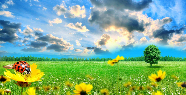 astrolife Λίλιαν Σίμου