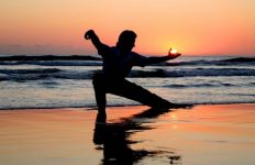 Λίλιαν Σίμου astrolife