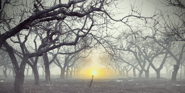 Λίλιαν Σίμου astrolife