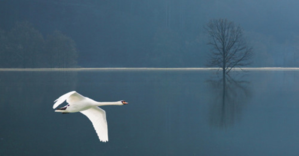 astrolife.gr Λίλιαν Σίμου