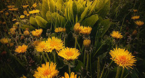 προβλέψεις Λίλιαν Σίμου astrolife