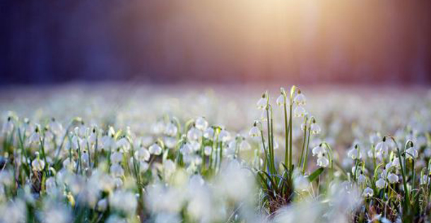 Λίλιαν Σίμου astrolife