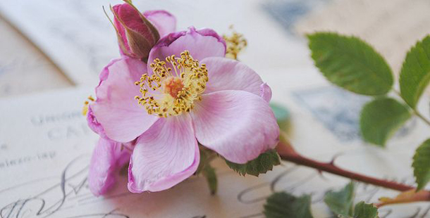 προβλέψεις Λίλιαν Σίμου astrolife