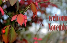 μηνιαίες προβλέψεις Λίλιαν Σίμου astrolife