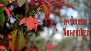 μηνιαίες προβλέψεις Λίλιαν Σίμου astrolife