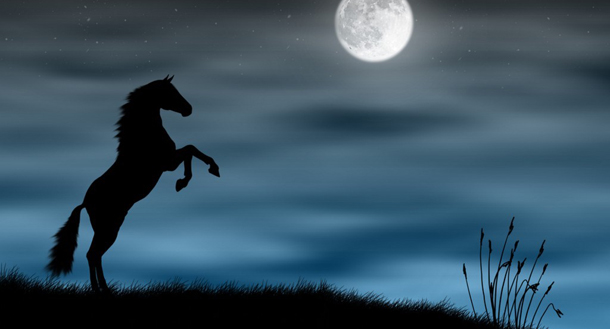 astrolife Λίλιαν Σίμου