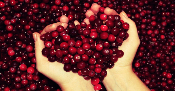 astrolife.gr Λίλιαν Σίμου προβλέψεις