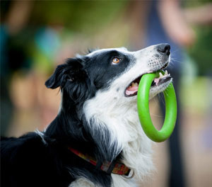 Λίλιαν Σίμου astrolife