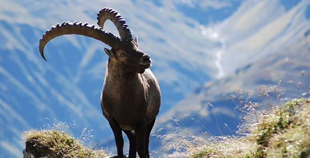 προβλέψεις Λίλιαν Σίμου astrolife