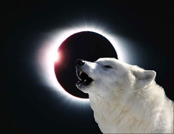 προβλέψεις Λίλιαν Σίμου astrolife