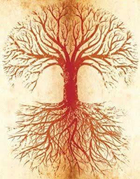 Λίλιαν Σίμου astrolife