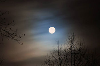 προβλέψεις Λίλιαν Σίμου astrolif