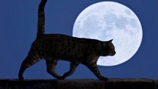 προβλέψεις Λίλιαν Σίμου astrolifε