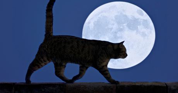 προβλέψεις Λίλιαν Σίμου astrolifε