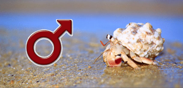 προβλέψεις Λίλιαν Σίμου astrolifε