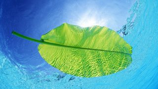 προβλέψεις Λίλιαν Σίμου astrolifε