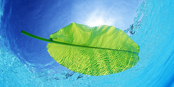 προβλέψεις Λίλιαν Σίμου astrolifε