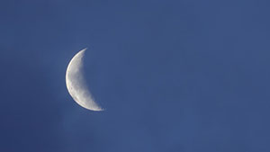 προβλέψεις Λίλιαν Σίμου astrolifε