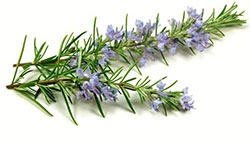 Λίλιαν Σίμου astrolife