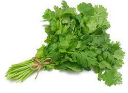 Λίλιαν Σίμου astrolife