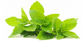 Λίλιαν Σίμου astrolife