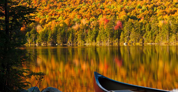 προβλέψεις Λίλιαν Σίμου astrolife