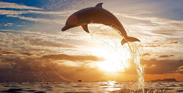 προβλέψεις Λίλιαν Σίμου astrolife