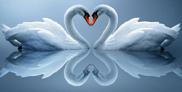 προβλέψεις Λίλιαν Σίμου astrolife