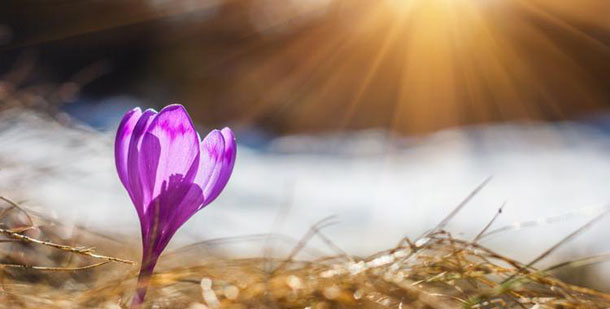 προβλέψεις Λίλιαν Σίμου astrolife