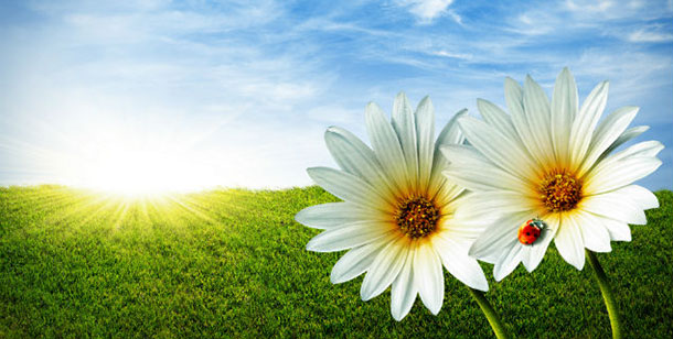 προβλέψεις Λίλιαν Σίμου astrolife