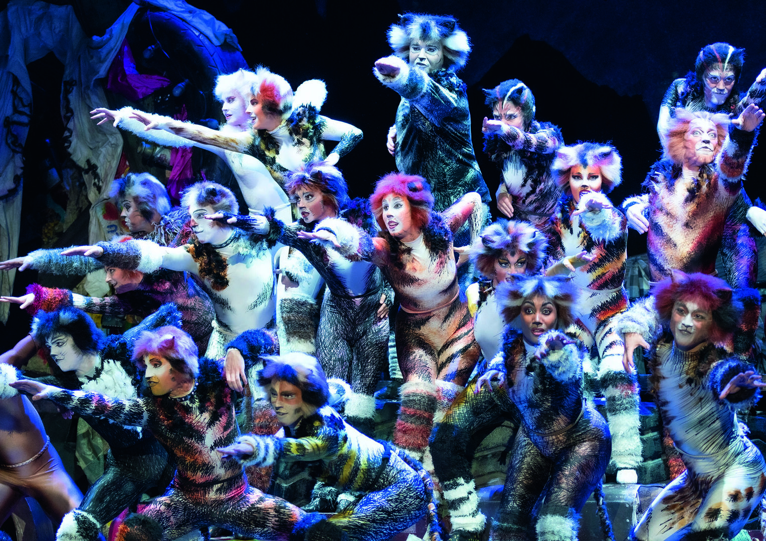 Katzen-Hit: Musical Cats startet wieder im Ronacher.
