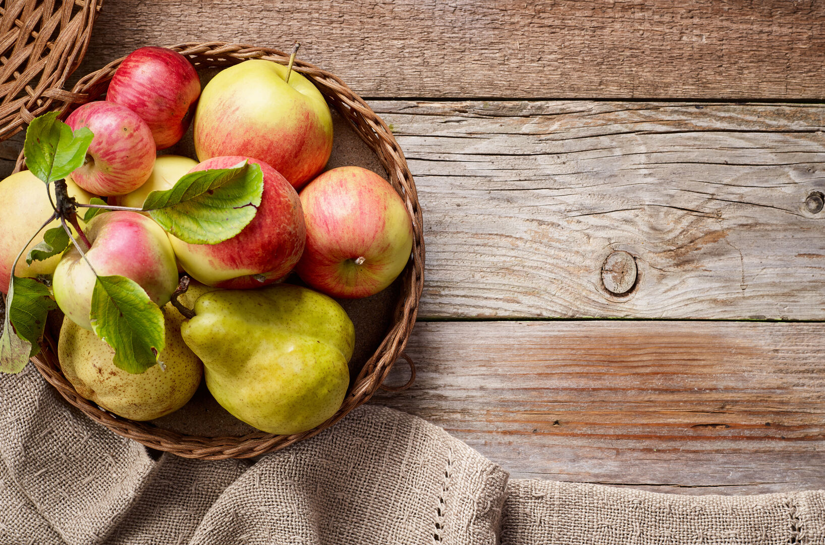 Äpfel und Birnen - die Rohstoffe der Mostproduktion