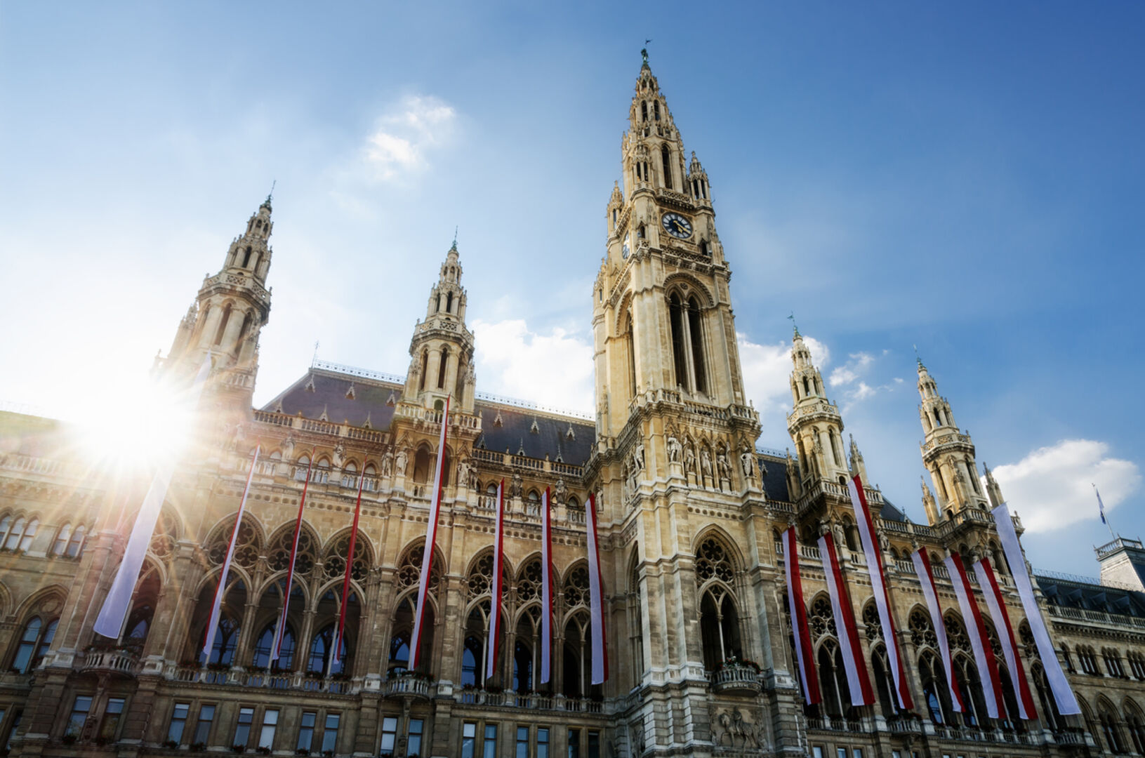 Das beflaggte Wiener Rathaus.