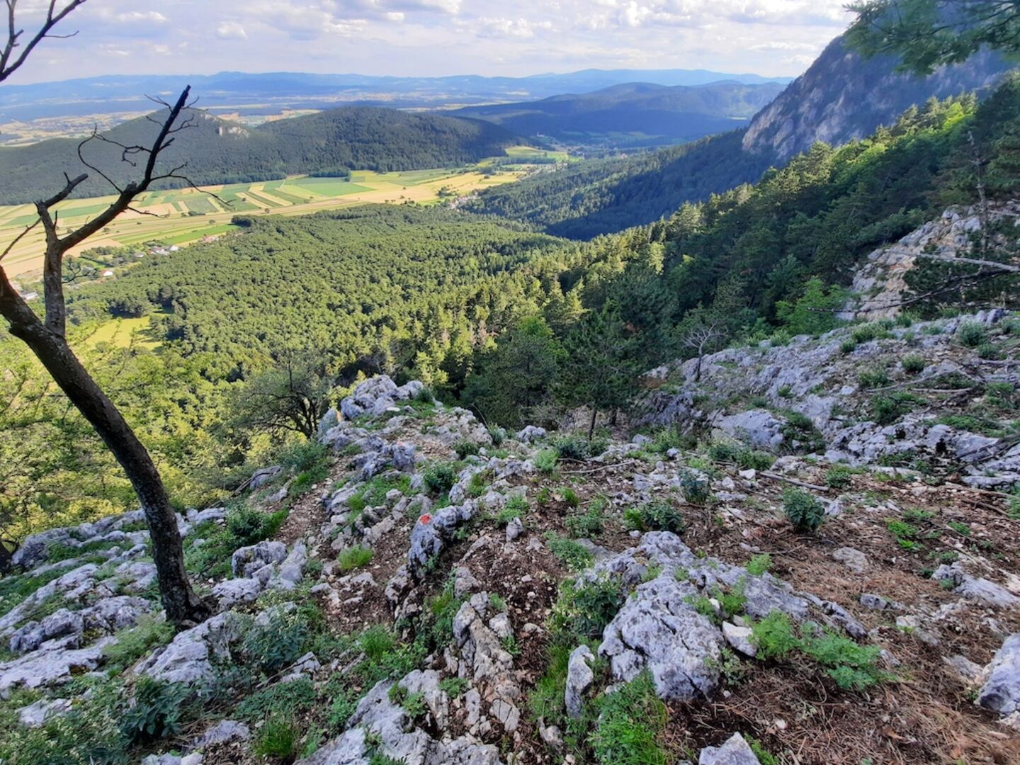 Alpinsteig